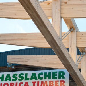 Carbon Removal in Bio Based Construction - Austria