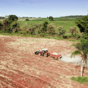 Rock powder application for permanent CO2 removal and sustainable production of local sugarcane-based biofuel