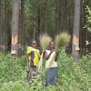 Bukaleba Forest Project