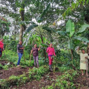 The CommuniTree Carbon Program