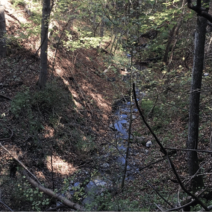 Buena Vista Heights Conservation Area