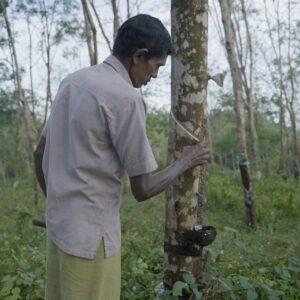 Sri Lanka Rubber Biochar