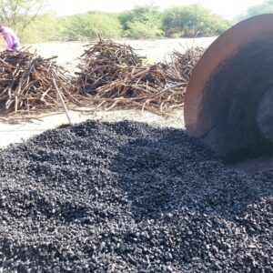 Restoration of Grassland and Long-term Carbon Removal using Biochar
