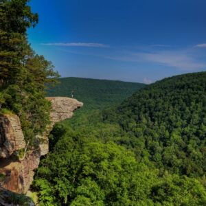 NativState - Mixed Upland Forests of the Ozarks & Ouachita Mountains (PDA) - Removal