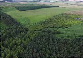 Forest Carbon Group Scheme 9 (Doddington North)