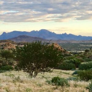 Namibia from Bush to Biochar