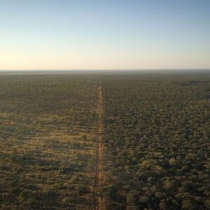 Namibia Biochar
