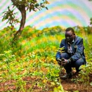 Kijani Smallholder Farmer Forestry Project