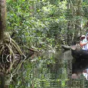 REDD+ Project Resguardo Indigena Unificado Selva de Mataven (RIU SM)