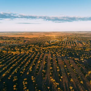 Australian Yarra Yarra Biodiversity Project